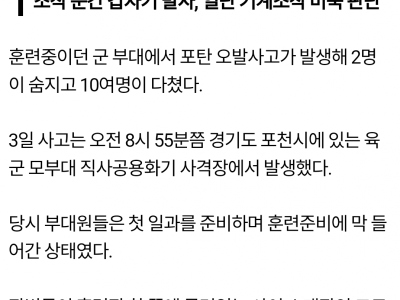 진짜 끔찍 2004년 8사단 팬져 오발사건