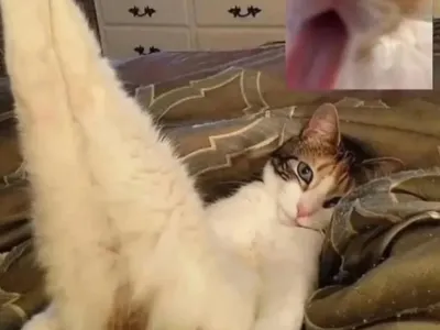 뭔가 사회생활 할 때 신기했던 거