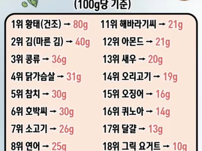 단백질이 가장 많은음식 20가지