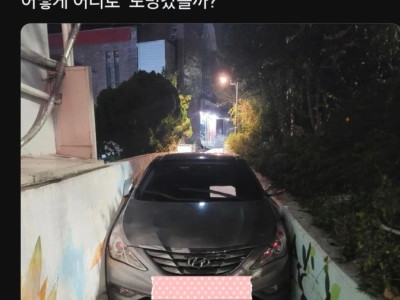 소나타 차주 어떻게 내렸죠?