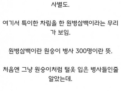        임진왜란에 참전한 특이 부대