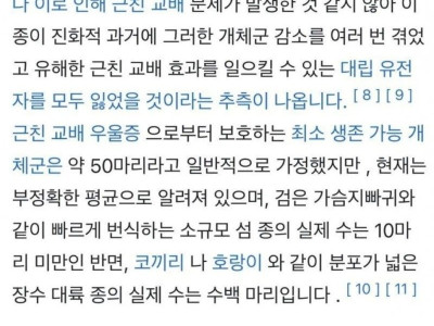 무제한 근친 교배의 결과물