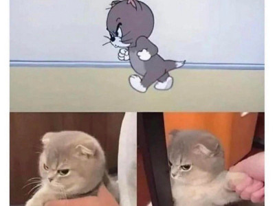 만화 고양이 찾았다