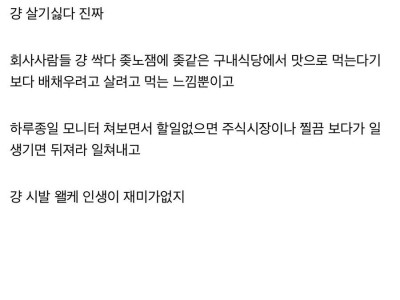 직장생활 노잼인생 현타온다는 디시인