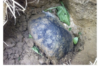 한국에서 운석을 주운 사람에게 생긴 일