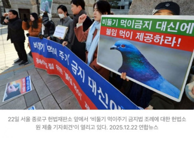 '비둘기 굶겨 죽이는 법은 위헌'..동물단체, '먹이주기 금지법' 헌법소원