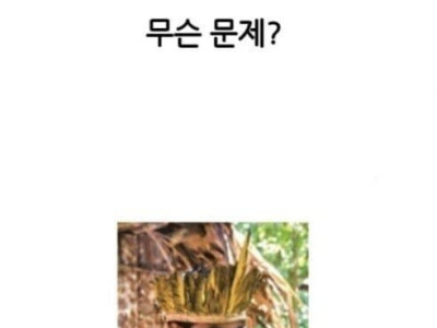 스페인의 남미 인신공양 없애기 프로젝트