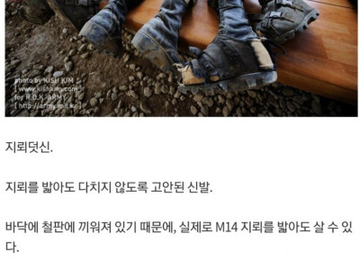DMZ 지뢰 제거 작업