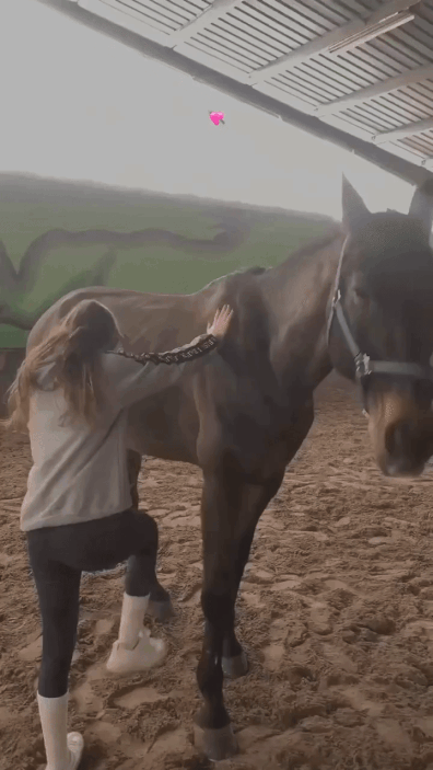 예쁜 여자가 올라탈 때 말이 하는 행동