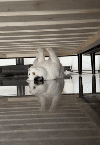 나를 이해라려고 하지마라 휴먼 gif