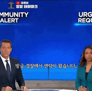 아빠 잃어 버렸어요. 이렇게 생겼으니까 찾아 주세요. gif