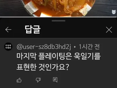 유튜버 김치찌개 플레이팅 논란