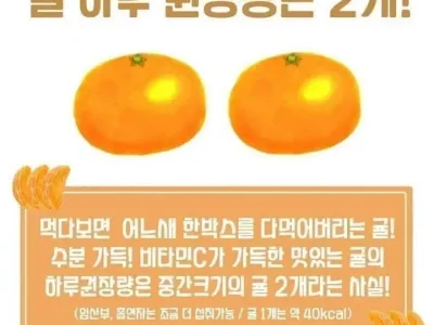 귤 하루 권장량