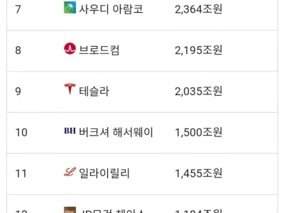 싱글벙글 전세계 기업 시총