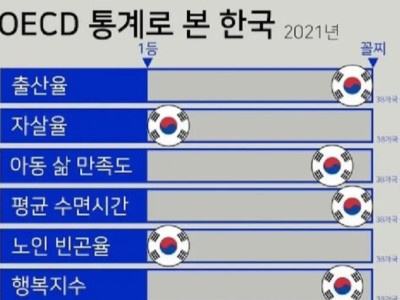 일론 머스크가 앞으로의 한국은 끝이라고 말하는 이유