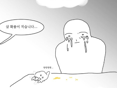 펌) 앵무새와 내가 겪은 최악의 경험.Manhwa