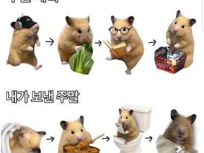 우리들의 주말계획 하지민 현실은