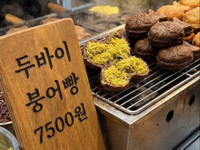 붕어빵계의 신제품