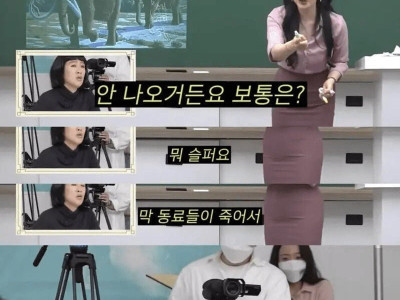 구석기 마인드를 가진 여자.jpg