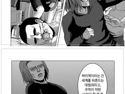 비행기가 테러 당하는 manhwa