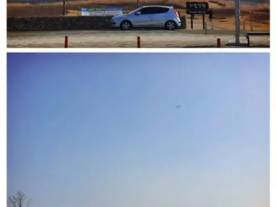 인천공항 연날리기 대참사