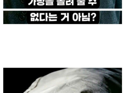 인터넷 경매에서 110만원 주고 산 가방의 정체.jpg