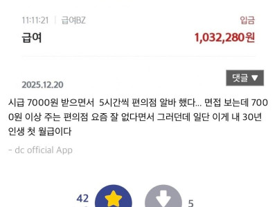 30살 인생 첫 급여 받은 ㅈ소갤러와 디시 댓글들.jpg