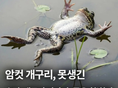 못생긴 수컷만나면 죽은척