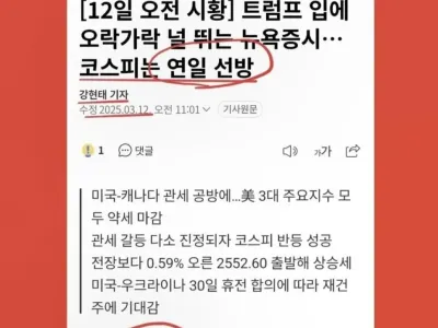 데일리안의 코스피를 보는 시각