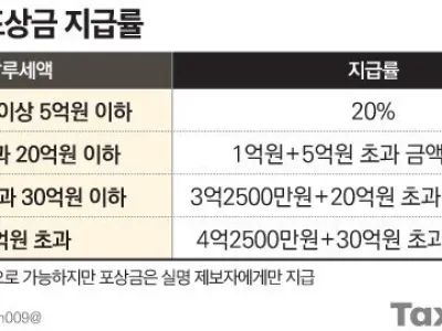 국세청이 탈세를 잡는 방법