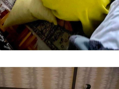 남자들은 이해못하고 여자들만 이해하는 사진.jpg