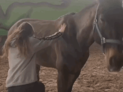 예쁜 여자가 올라탈 때 말이 하는 행동