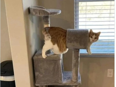 연말연시 끝나고 난 내 모습