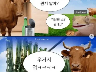 세상에서 가장 가난한 소