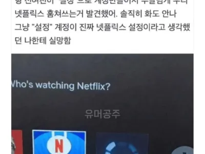넷플릭스 계정 몰래 쓰던 형의 전여친