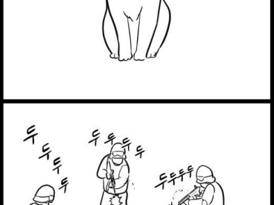 ㅈ냥이 컷 만화의 진실.jpg