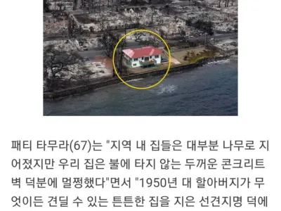 하와이 화재에서 살아남은 집