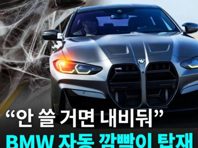 양카 이미지에 대한 BMW의 대처