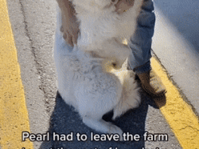 주사 맞으러 시내 왔는데 넘 무서워요 gif