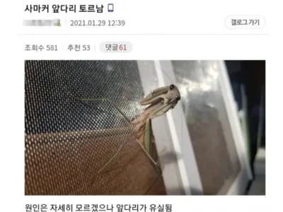 비브라늄 사마귀 최신근황