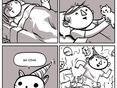 파티 고양이 만화