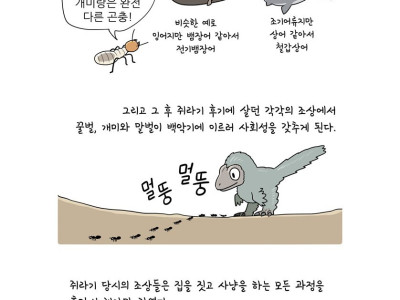 만화로 배우는 곤충의 진화 - 개미