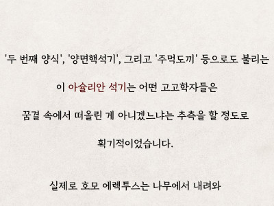 인류5) 호모 에렉투스는 얼마나 똑똑했을까?
