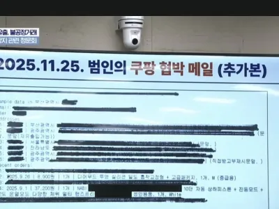 쿠팡 청문회 딜도 등장 ㅋㅋ.jpg