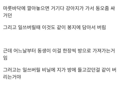 강아지 배변패드 쓰는 여동생썰