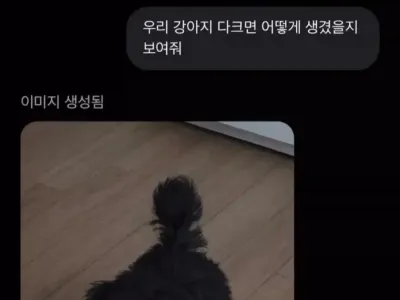 지피티야 우리 강아지 다크면 어떻게 생겼을지 보여줘