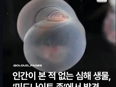 신종 심해생물 발견