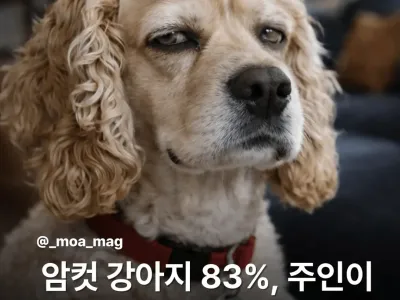 암컷 강아지 특징