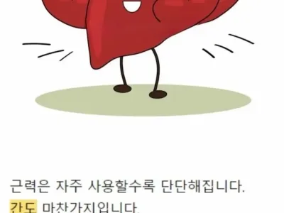 근육은 많이 사용할수록 단단해진다