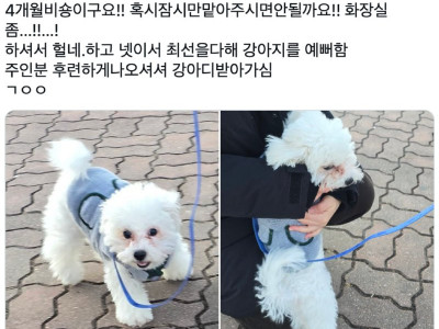 강아지 예쁘다고 했는데 저한테 왜 이러세요